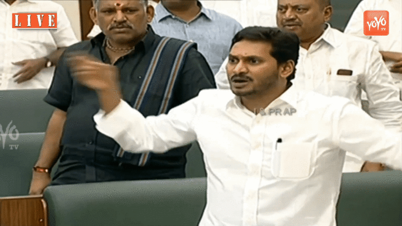 File:Jagan-brain.gif